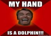 My Hand is a Dolphin
