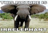 Picture Unrelated