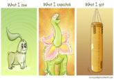 What I Watched/Expected/Got