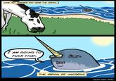The Narwhal Bacons at Midnight