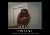 Owling