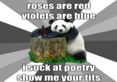 Pickup Line Panda
