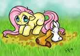 Pony Re-Imaginings