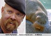 Mythbusters