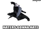 Haters Gonna Hate