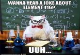 Chemistry Cat