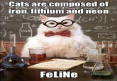 Chemistry Cat