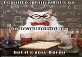 Chemistry Cat