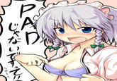 Sakuya's breast padding