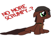Pony Reactions
