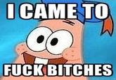 I/We Came Here To Fuck Bitches