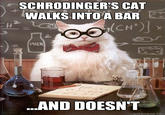 Chemistry Cat
