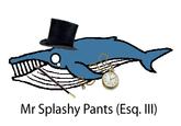 Mister Splashy Pants