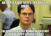 Schrute Facts