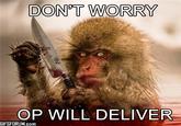 Waiting for OP/OP Will Surely Deliver