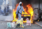 2011 United Kingdom Riots