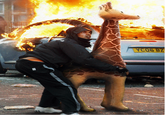2011 United Kingdom Riots