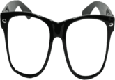 Hipster Glasses