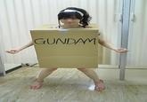 Cardboard Box Gundam