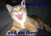 I Found Pills... And Ate Them!