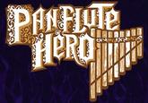 Guitar Hero / Rock Band