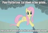 Pony Re-Imaginings