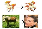 Celebrity Pokemon Evolutions