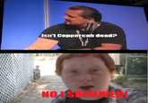 Red Shirt Guy