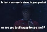 HARRY.jpg