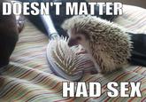 Doesn't Matter, Had Sex