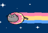 Nyan Cat / Pop Tart Cat