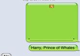 iPhone Whale