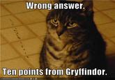 10 Points from/for Gryffindor