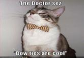 Bow Ties Are Cool