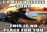 Ponies