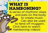 Hamboning Will Save Your Life Someday