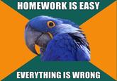 Paranoid Parrot