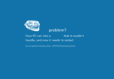 Blue Screen of Death (BSoD)