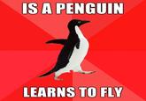 Socially Awesome Penguin