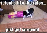 Screw the Rules, I have Money!