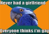 Paranoid Parrot