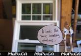 Clippy