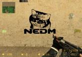 NEDM
