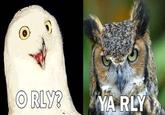 O RLY?