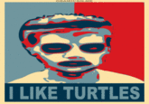I Like Turtles