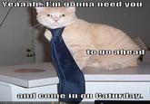 Caturday