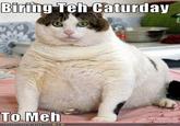 Caturday