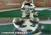 Insanity Puppy