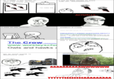 Rage Comics