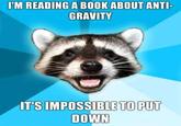 Lame Pun Coon